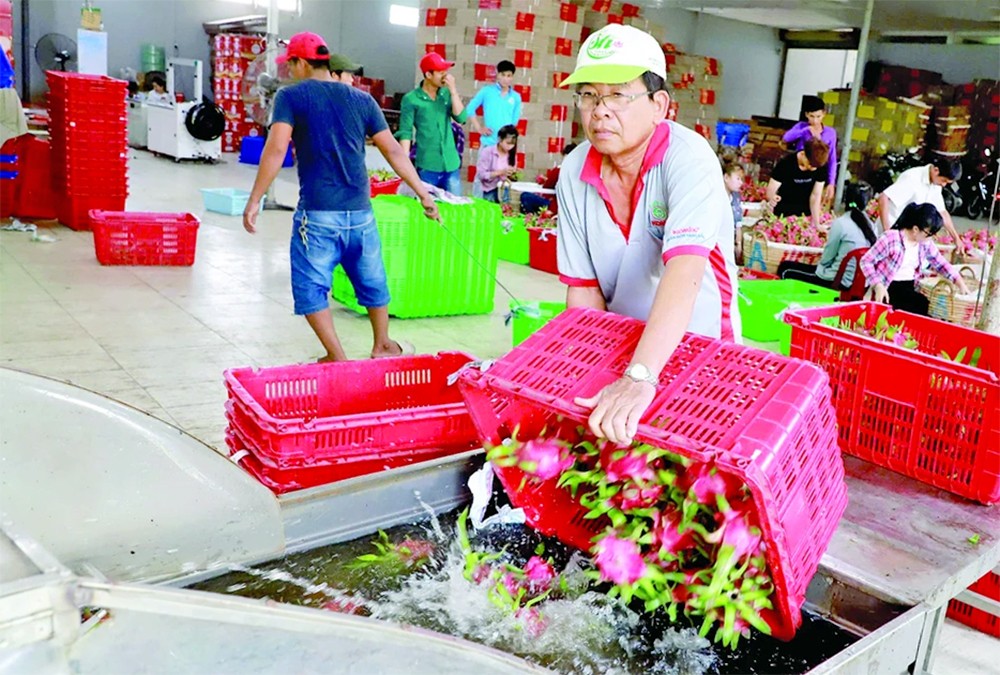 越中贸易：开创新合作空间