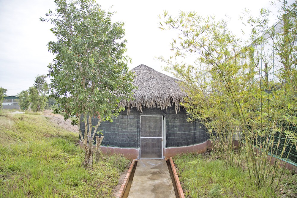 丹顶鹤的繁殖区一隅。