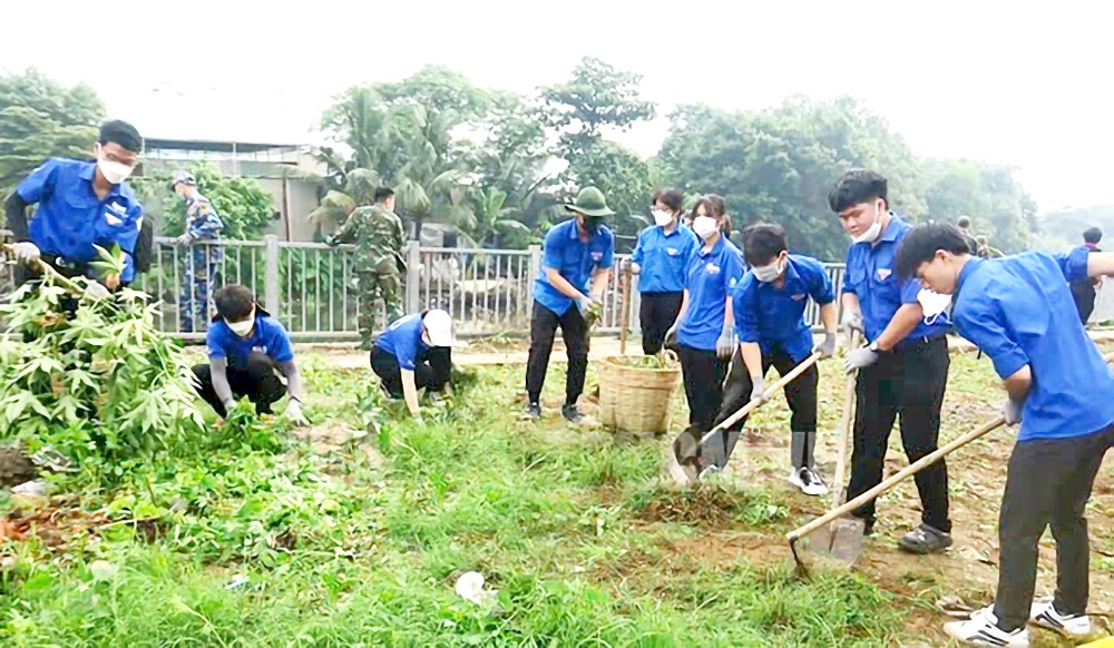 本市共青团团员、青年参与平盛郡穿心渠清除垃圾活动。