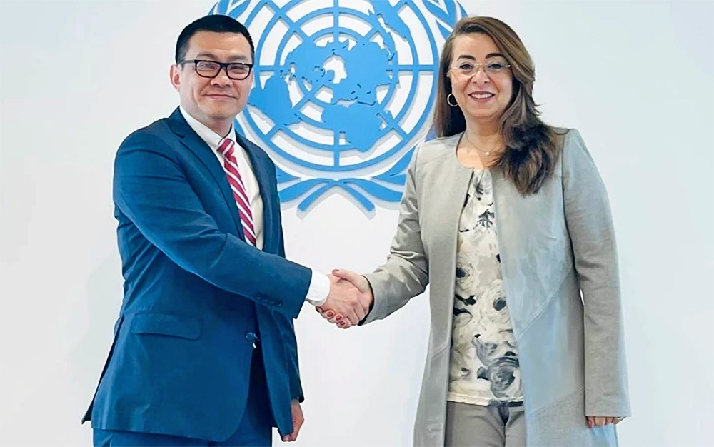 联合国承诺与越南合作促进《河内公约》实施