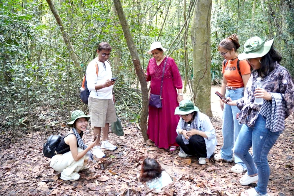 游客参观古芝地道。