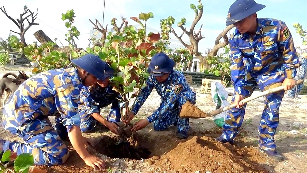 植树造绿,守护蓝海:长沙群岛绿色奇迹