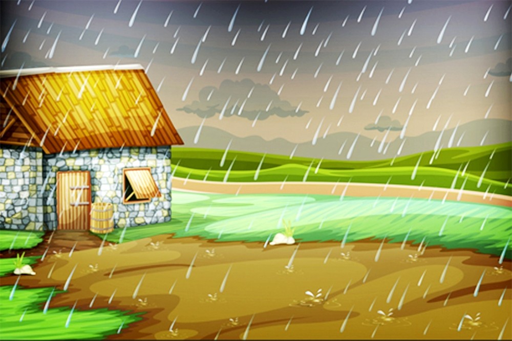 雨