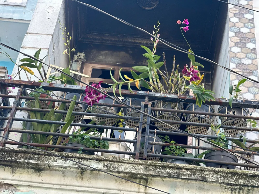 Căn nhà bị cháy