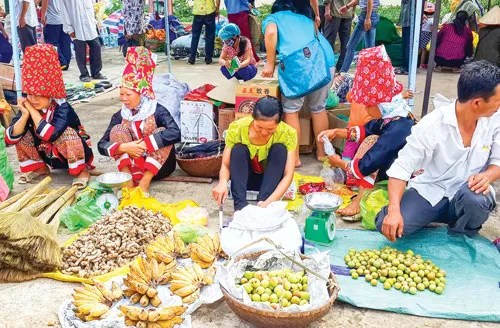 Ruộng bậc thang ở Bình Liêu hoang sơ, thoai thoải khác biệt với ruộng bậc thang Tây Bắc. “Sống lưng khủng long”-một đỉnh núi nổi tiếng có rất nhiều người muốn chinh phục ở Bình Liêu. Những cung đường như sợi chỉ men theo các dải núi trùng điệp dọc biên giới. Đồi tình yêu nằm trên cột mốc biên giới 1300 vào cuối thu đầu đông cỏ lau đã úa màu ngả vàng. Biển mây bồng bềnh ở mảnh đất Bình Liêu. Phụ nữ Dao Thanh Phán với chiếc mũ cao 40cm màu đỏ hoa văn sặc sỡ.