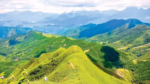 Ruộng bậc thang ở Bình Liêu hoang sơ, thoai thoải khác biệt với ruộng bậc thang Tây Bắc. “Sống lưng khủng long”-một đỉnh núi nổi tiếng có rất nhiều người muốn chinh phục ở Bình Liêu. Những cung đường như sợi chỉ men theo các dải núi trùng điệp dọc biên giới. Đồi tình yêu nằm trên cột mốc biên giới 1300 vào cuối thu đầu đông cỏ lau đã úa màu ngả vàng. Biển mây bồng bềnh ở mảnh đất Bình Liêu. Phụ nữ Dao Thanh Phán với chiếc mũ cao 40cm màu đỏ hoa văn sặc sỡ.