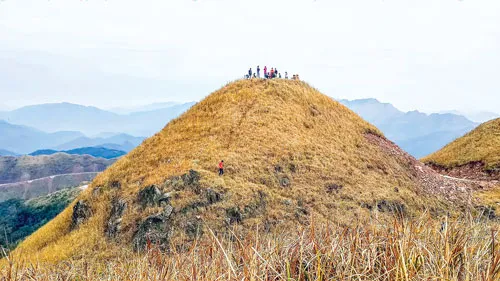 Ruộng bậc thang ở Bình Liêu hoang sơ, thoai thoải khác biệt với ruộng bậc thang Tây Bắc. “Sống lưng khủng long”-một đỉnh núi nổi tiếng có rất nhiều người muốn chinh phục ở Bình Liêu. Những cung đường như sợi chỉ men theo các dải núi trùng điệp dọc biên giới. Đồi tình yêu nằm trên cột mốc biên giới 1300 vào cuối thu đầu đông cỏ lau đã úa màu ngả vàng. Biển mây bồng bềnh ở mảnh đất Bình Liêu. Phụ nữ Dao Thanh Phán với chiếc mũ cao 40cm màu đỏ hoa văn sặc sỡ.