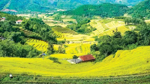Ruộng bậc thang ở Bình Liêu hoang sơ, thoai thoải khác biệt với ruộng bậc thang Tây Bắc. “Sống lưng khủng long”-một đỉnh núi nổi tiếng có rất nhiều người muốn chinh phục ở Bình Liêu. Những cung đường như sợi chỉ men theo các dải núi trùng điệp dọc biên giới. Đồi tình yêu nằm trên cột mốc biên giới 1300 vào cuối thu đầu đông cỏ lau đã úa màu ngả vàng. Biển mây bồng bềnh ở mảnh đất Bình Liêu. Phụ nữ Dao Thanh Phán với chiếc mũ cao 40cm màu đỏ hoa văn sặc sỡ.