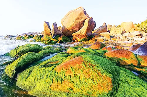 Cảnh đẹp nơi đây làm say đắm rất nhiều nhiếp ảnh gia trên mọi miền đất nước. Mỏm đá nhô lên mặt nước với rong rêu phủ xuống trông giống như hàm cá mập. Tảng đá tròn rong rêu tạo trông giống như đài hoa sen khổng lồ. Nhiều đôi uyên ương tìm đến đây để có một Album cưới kỷ niệm. Đá và rong rêu kết duyên với nhau tạo thành những mảng màu sắc huyền ảo. Tảng đá cao khoảng 3m tạo điểm nhấn cho cả vùng.