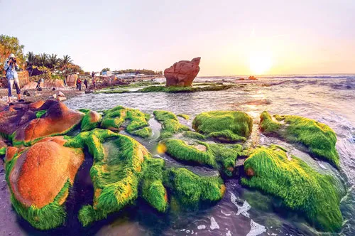 Cảnh đẹp nơi đây làm say đắm rất nhiều nhiếp ảnh gia trên mọi miền đất nước. Mỏm đá nhô lên mặt nước với rong rêu phủ xuống trông giống như hàm cá mập. Tảng đá tròn rong rêu tạo trông giống như đài hoa sen khổng lồ. Nhiều đôi uyên ương tìm đến đây để có một Album cưới kỷ niệm. Đá và rong rêu kết duyên với nhau tạo thành những mảng màu sắc huyền ảo. Tảng đá cao khoảng 3m tạo điểm nhấn cho cả vùng.