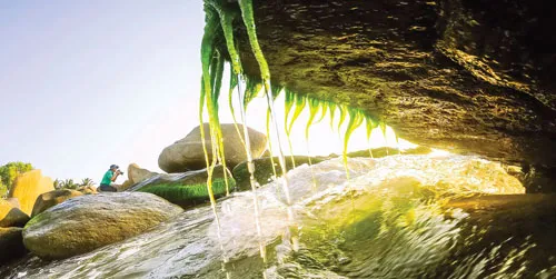 Cảnh đẹp nơi đây làm say đắm rất nhiều nhiếp ảnh gia trên mọi miền đất nước. Mỏm đá nhô lên mặt nước với rong rêu phủ xuống trông giống như hàm cá mập. Tảng đá tròn rong rêu tạo trông giống như đài hoa sen khổng lồ. Nhiều đôi uyên ương tìm đến đây để có một Album cưới kỷ niệm. Đá và rong rêu kết duyên với nhau tạo thành những mảng màu sắc huyền ảo. Tảng đá cao khoảng 3m tạo điểm nhấn cho cả vùng.