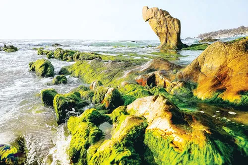 Cảnh đẹp nơi đây làm say đắm rất nhiều nhiếp ảnh gia trên mọi miền đất nước. Mỏm đá nhô lên mặt nước với rong rêu phủ xuống trông giống như hàm cá mập. Tảng đá tròn rong rêu tạo trông giống như đài hoa sen khổng lồ. Nhiều đôi uyên ương tìm đến đây để có một Album cưới kỷ niệm. Đá và rong rêu kết duyên với nhau tạo thành những mảng màu sắc huyền ảo. Tảng đá cao khoảng 3m tạo điểm nhấn cho cả vùng.