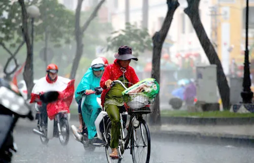 Nước mưa trái mùa thường độc vì cuốn theo nhiều bụi, các chất ô nhiễm trong không khí. Nước mưa trái mùa thường độc vì cuốn theo nhiều bụi, các chất ô nhiễm trong không khí.