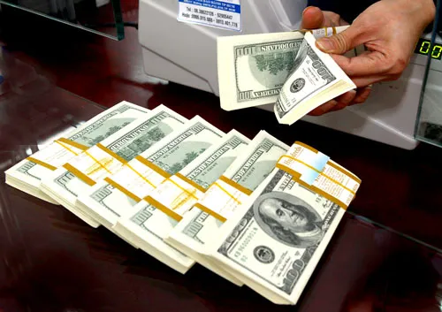 Ảnh minh họa: L.THANH