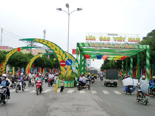 Trên con đường lúa gạo.