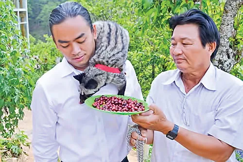 Chồn đã được thuần hóa rất thân thiện với người.