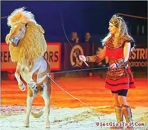 Những chuyện lạ về ngựa ảnh 6