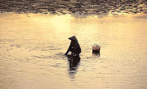 Lễ tôn vinh những nàng dâu họ Lương. Mót củi đun nấu hạn chế chi phí chất đốt. Nấu rượu gạo Thủy Dương - nghề thủ công địa phương. Mò cua bắt cá giữa đầm phá Tam Giang khi chiều muộn. Niềm vui được mùa. Mưu sinh bên bến sông. Làm bánh xèo cá kình - món ăn dân dã ở Huế. Những người phụ nữ góp phần làm sạch đẹp TP Huế. Lam lũ miền quê nghèo.