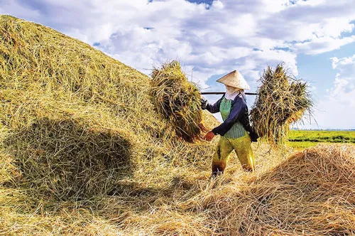 Lễ tôn vinh những nàng dâu họ Lương. Mót củi đun nấu hạn chế chi phí chất đốt. Nấu rượu gạo Thủy Dương - nghề thủ công địa phương. Mò cua bắt cá giữa đầm phá Tam Giang khi chiều muộn. Niềm vui được mùa. Mưu sinh bên bến sông. Làm bánh xèo cá kình - món ăn dân dã ở Huế. Những người phụ nữ góp phần làm sạch đẹp TP Huế. Lam lũ miền quê nghèo.