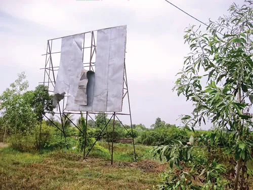 Đất nông nghiệp trong vùng dự án bị hoang hóa. Ảnh: Tr.Giang