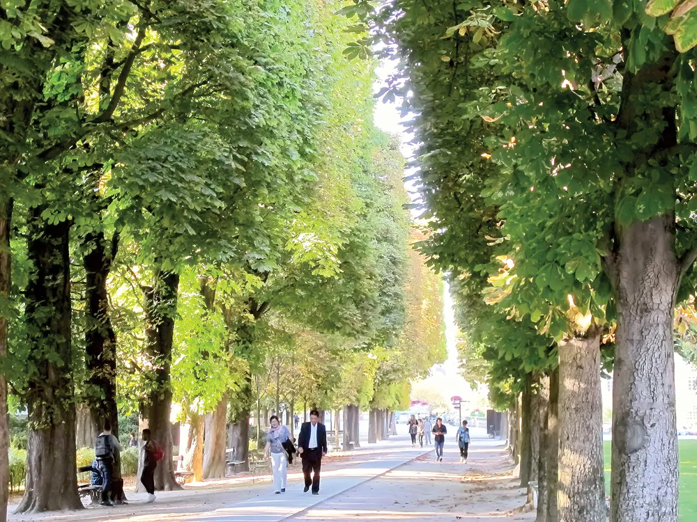 Lãng mạn Vườn Luxembourg ảnh 7