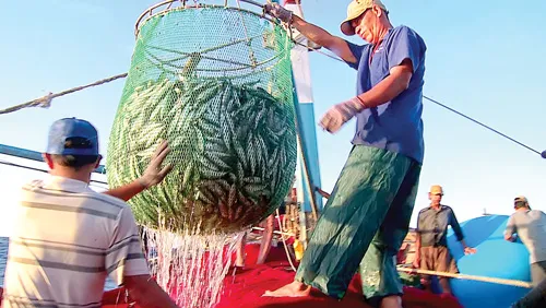 Ngỡ ngàng làng chài Cửa Việt ảnh 6