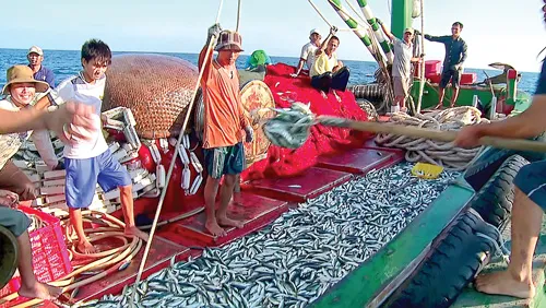 Ngỡ ngàng làng chài Cửa Việt ảnh 5