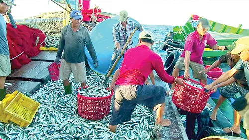 Ngỡ ngàng làng chài Cửa Việt ảnh 4