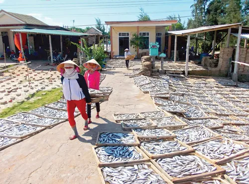 Ngỡ ngàng làng chài Cửa Việt ảnh 8