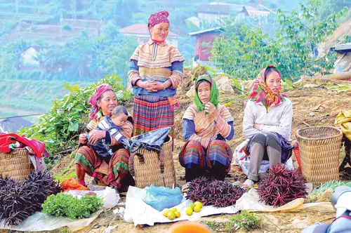 Toàn cảnh khu mua bán trâu phiên chợ Cán Cấu. Du khách chọn mua hàng lưu niệm trước khi rời chợ phiên. Chợ phiên “hàng đổi hàng” Cốc Ly là nơi giao lưu nét văn hóa độc đáo của bà con các dân tộc Lào Cai qua các sản phẩm thổ cẩm. Khu vực bán váy thổ cẩm tại các chợ phiên ở Lào Cai luôn thu hút người tới mua. Du khách nước ngoài rất thích thú sản phẩm thổ cẩm tại chợ phiên Sapa. Rau quả vùng cao do bà con tự trồng được mang đến bán tại chợ phiên Cao Sơn. Tại các chợ phiên của Lào Cai đều không thể thiếu khu vực cắt tóc. Địu con đi chợ. Thưởng thức đặc sản thắng cố tại chợ phiên Bắc Hà.