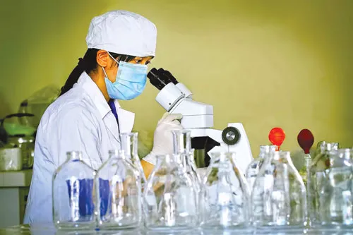 Tằm được hong nắng nhẹ vào sáng sớm. Kiểm tra giống tằm trước khi nuôi cấy giống. Nông dân Bảo Lộc thu hoạch dâu để nuôi tằm. Tằm trong giai đoạn nhả tơ. Chọn kén tốt trước khi nấu. Nhuộm vải bằng thủ công. Nấu kén để lấy sợi. Xe sợi. Phơi lụa.