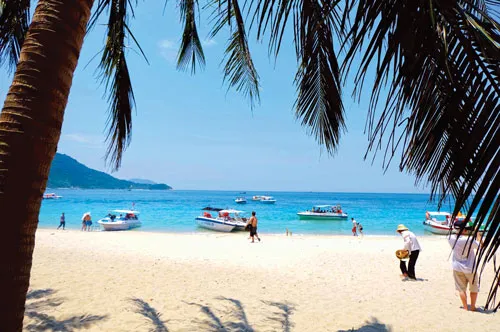 Du khách thích thú với vẻ đẹp hoang sơ của Cù lao Chàm. Hàng ngày có gần 1.000 lượt khách du lịch (ngày lễ lên đến 6.000 lượt khách) ra Cù lao Chàm từ cảng Cửa Đại (Hội An). Một làng chài ven biển làm du lịch. Du khách nước ngoài thưởng thức trái cây vùng nhiệt đới. Du khách lặn xem san hô đỏ. Một góc đảo Cù lao Chàm. Cù lao Chàm có gần 2.500 nhân khẩu, trong đó 50% làm ngư nghiệp phục vụ du lịch. Một quầy hàng lưu niệm.