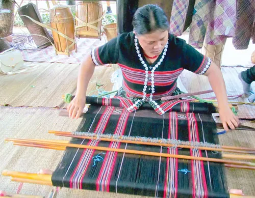 Sức sống mới Trường Sơn ảnh 5