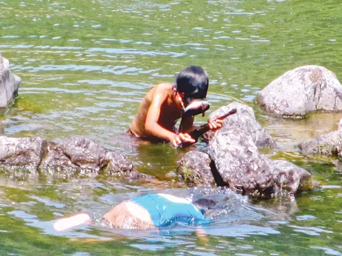 Sức sống mới Trường Sơn ảnh 4