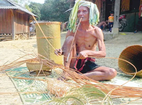 Sức sống mới Trường Sơn ảnh 9