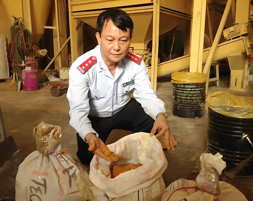 Ông Phạm Tiến Dũng kiểm tra chất vàng ô đã được trộn vào thức ăn chăn nuôi. Ảnh: Hương Thu Ông Phạm Tiến Dũng kiểm tra chất vàng ô đã được trộn vào thức ăn chăn nuôi. Ảnh: Hương Thu