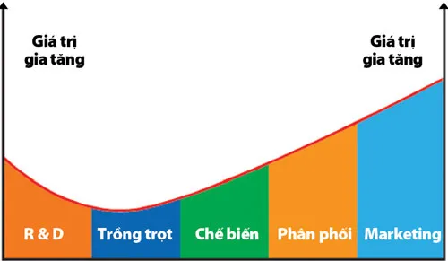 Nguồn: PGS TS Đinh Văn Thành, Nhận dạng chuỗi giá trị toàn cầu đối với hàng nông sản.