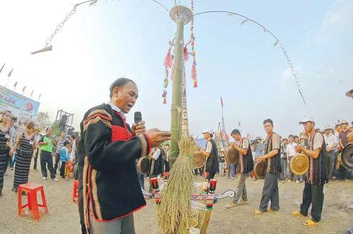 Độc đáo đua voi Buôn Đôn ảnh 1