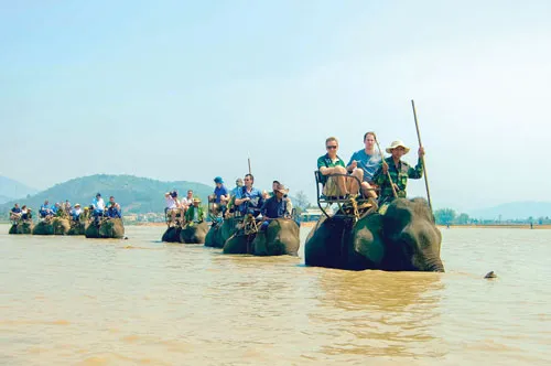 Độc đáo đua voi Buôn Đôn ảnh 8