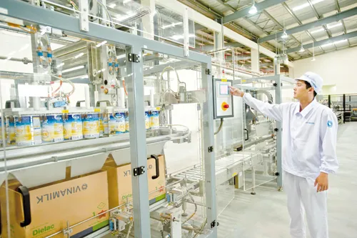 VNM được nhiều bạn trẻ xem là nơi làm việc lý tưởng.