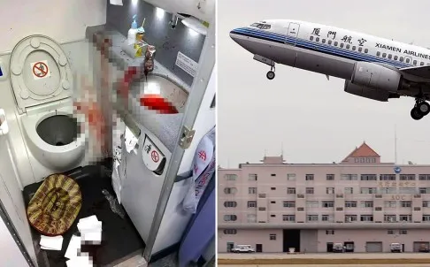 Hành khách cố tự tử trong toilet máy bay ảnh 1