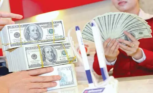 Ảnh minh họa: LONG THANH Ảnh minh họa: LONG THANH