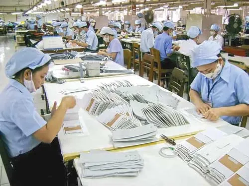 Cải cách để vượt qua thách thức ảnh 1