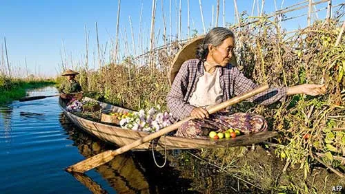 Nông dân Myanmar hiện vẫn có thu nhập rất thấp.