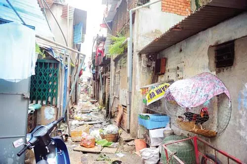 Nhếch nhác phía sau khu chung cư Ngô Gia Tự. Ảnh: L.THANH