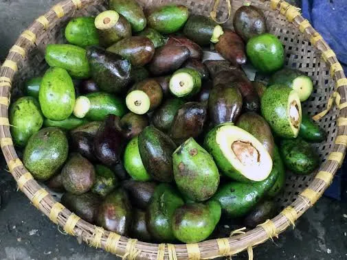 Sau khi gọt bỏ phần thối, những quả bơ này sẽ được bán cho các hàng cà phê làm sinh tố.