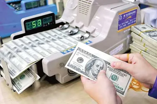 Phát hành trái phiếu ngoại tệ sẽ được thực hiện thông qua việc NH dùng ngoại tệ huy động của người dân để mua TPCP.