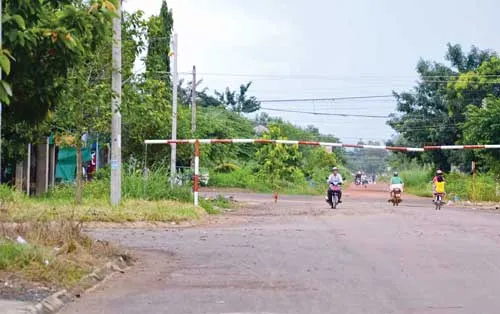 Được kỳ vọng sẽ khang trang, văn minh nhưng 6 năm trôi qua, KDCTM Tiến Thành vẫn chưa có vỉa hè, cỏ mọc um tùm…