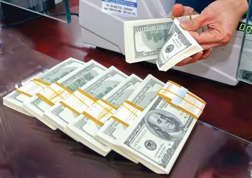 Ảnh minh họa: L.THANH