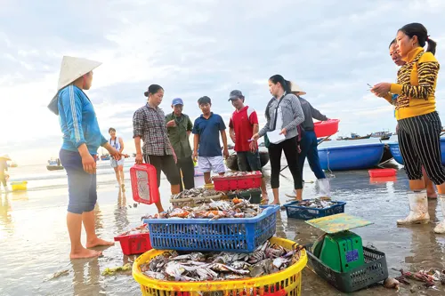 Bãi biển tuyệt đẹp của Hà Tĩnh gần khu vực đèo Ngang giáp ranh với tỉnh Quảng Bình cũng không một bóng khách du lịch. Người buôn bán cá ở bãi Cảnh Dương, xã Cảnh Dương, huyện Bố Trạch, Quảng Bình. Ngư dân, người buôn bán cá ở bãi Cảnh Dương, xã Cảnh Dương, huyện Bố Trạch, Quảng Bình vẫn hoạt động nhưng lượng giao dịch chỉ bằng con số lẻ so trước đây. Ông Nguyễn Văn Thoành ngư dân đánh lộng khu biển Kỳ Ninh - Hà Tĩnh tâm sự: "Đánh cá bây giờ buồn lắm, biển ô nhiễm người dân không dám ăn cá.” Cảng cá Cửa Sót (huyện Kỳ Anh - tỉnh Hà Tĩnh) vẫn hoạt động nhưng ghe thuyền về cảng ngày càng đìu hiu. Cả nhà chị vẫn ra khơi lưới cá nhưng có đêm đi về chỉ được một con mực bằng bàn tay nấu nồi nước chan mì tôm.